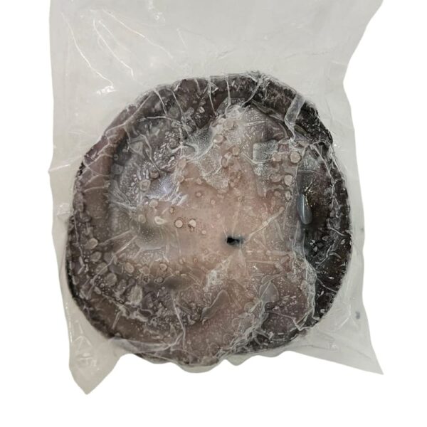 Pulpo