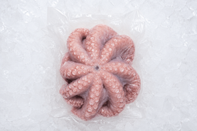Pulpo Don Pescao 1