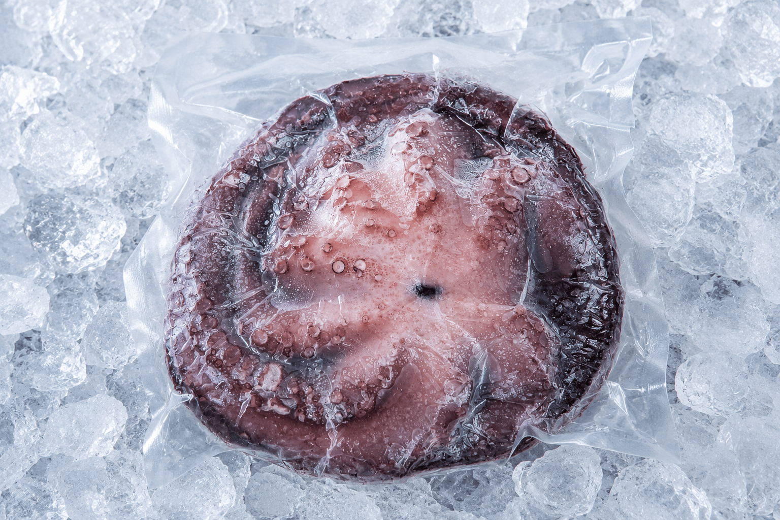 pulpo don pescao pulpo don pescao